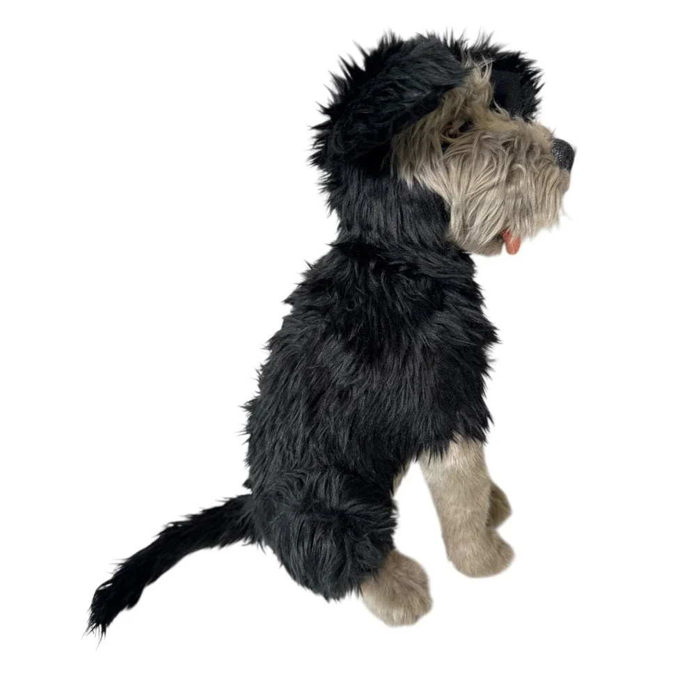 Disney Parks Tramp Plush Dog Lady and the Tramp Live Action 14
